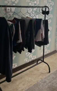 رگال