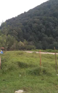 وکالت در دعاوی