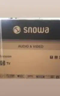 کارتن ۴۳اینج اسنوا
