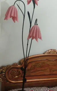 یا عدد شب خواب کارکرده ولی سالم