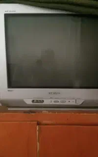 ۲۱اینج سالم