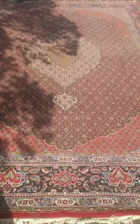نقش ریز ماهی تبریز ۲ تخته ۱۲ متری مشابه هم