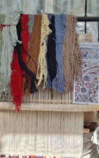 دارقالی یک زرونیم