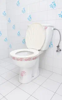 توالت فرهنگی