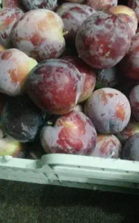 آلو قرمز