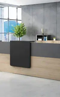 صندوق دار خانم
