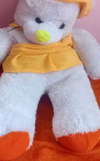 شاسخین