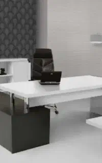 منشی خانم