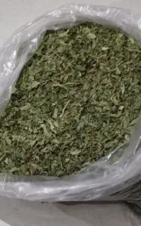 پونه