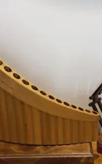 سازدهنی و پنفلوت