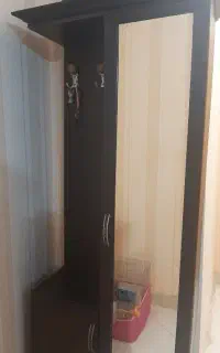 جاکفشی