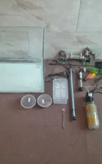 آکواریوم
