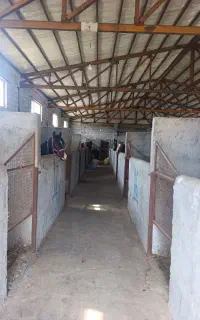 همکاری در باشگاه اسب سواری