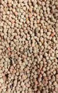 کسن منی یه تومن تخفیف نداره