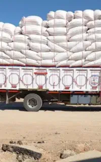 کاه گندم دیم هستش به شرط