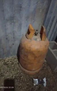 گاز