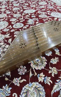 سنتور برای افراد مبتدی