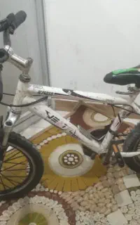 دوچرخه دنده ای سفید