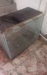 اکواریوم شیشه ای بزرگ