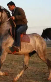 محراب فیض