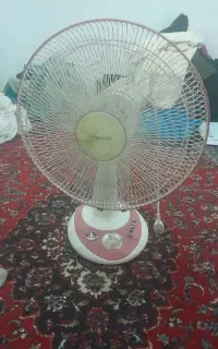 سلام پنکه3
