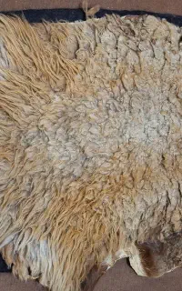 پوست تزئینی گوسفند