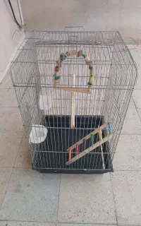 قفس بزرگ