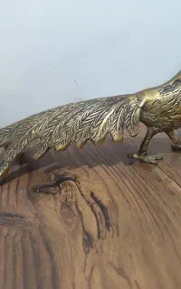 برنزطاووس