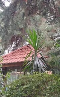 آموزش رانندگی در شهر،ترافیک،جاده