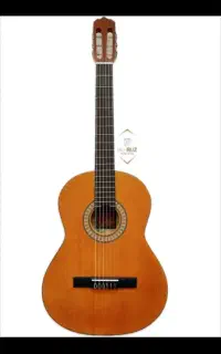 گیتار m2 پارسی
