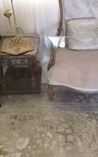 محافظ صفحه تلویزیون