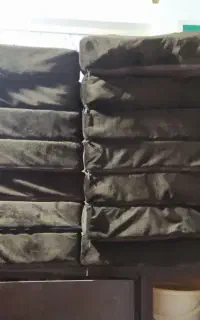 سوسنگرد