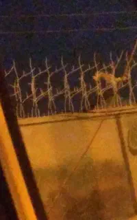 چوشکاری