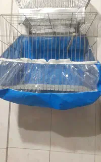 قفس پرنده