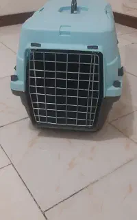 باکس  سگ