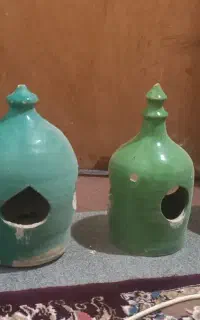 کلدانی جا ابی پرنده