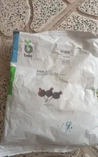 پیش فروش بذر لبو بجو بازگشتی دست اول