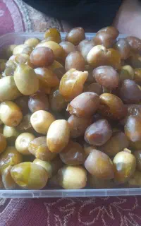رطب خرک سرزده