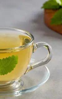 انواع دمنوش های گیاهی با تخفیف ویژه