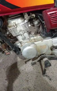 هندا 89سکه