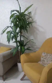 درختچه مصنوعی