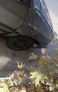 اسقاط