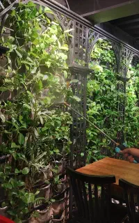 خدمات نگهداری گیاهان آپارتمانی و فضای سبز