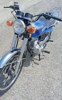 ۱۴۰۴    کله گرده