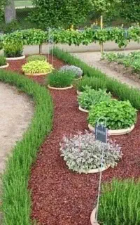 خدمات باغبانی در سراسر کرج