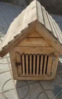 خانه گربه یا سگ