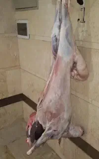 قصاب سیار