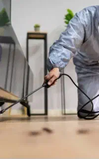 سمپاشی تخصصی وصددرصدتضمینی