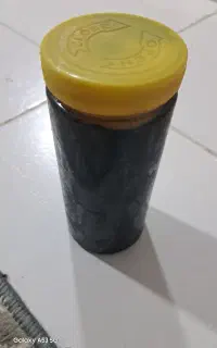 شکرک بلوط