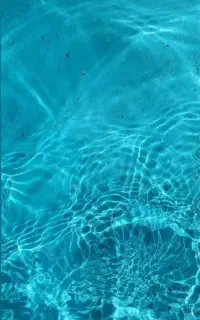 آموزش شنا برای بانوان